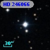 HD 246066