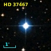 HD  37467