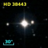 HD  38443