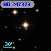 HD 247373