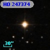 HD 247374