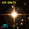 HD  38675