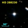 HD 288230