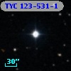 TYC  123-531-1