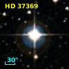 HD  37369