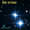 HD  37342