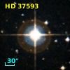 HD  37593