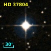 HD  37804