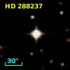 HD 288237