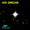HD 288238