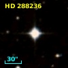 HD 288236