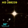 HD 288239