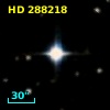 HD 288218
