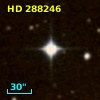HD 288246