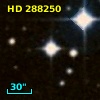 HD 288250