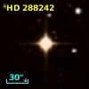 HD 288242