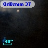 OriBsmm 37