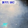 [B77] 102