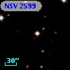 NSV  2599