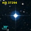 HD  37294