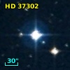 HD  37302