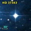 HD  37343