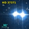 HD  37371