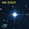 HD  37427