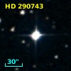 HD 290743