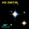 HD 290736
