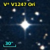 HD 290764