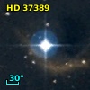 HD  37389