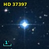 HD  37397