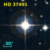 HD  37491