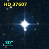 HD  37607