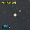 V* RV Ori