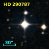 HD 290787