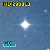 HD 290813