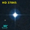 HD  37845