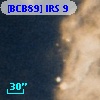 [BCB89] IRS  9