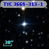 TYC 3668-313-1