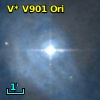 V* V901 Ori