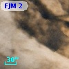 FJM 2