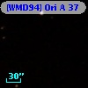 [WMD94] Ori A 37