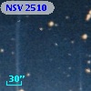 NSV  2510