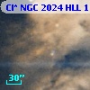 Cl* NGC 2024    HLL     113