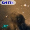 Ced  55n