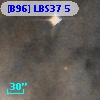[B96] LBS37 5