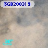 [SGB2003]   9