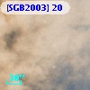 [SGB2003]  20